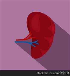 Health kidney icon. Flat illustration of health kidney vector icon for web design. Health kidney icon, flat style