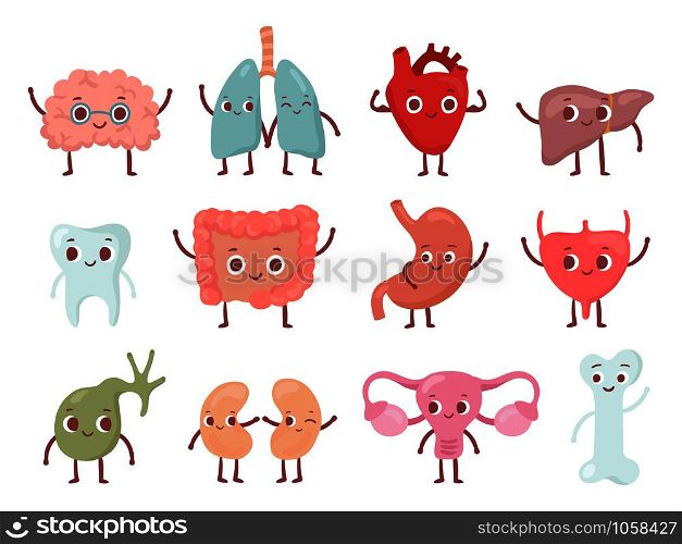 Healthy biological organ. Smiling lung, happy heart and funny brain. Smile stomach, uterus organs bone and tooth. Biology medicine character cartoon isolated character vector icons set. Healthy biological organ. Smiling lung, happy heart and funny brain. Smile organs cartoon isolated character vector set