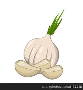 Healthy diet. Seasoning and herb. Vector Cartoon illustration. Element of harvest. Garlic. Spicy vegetable.