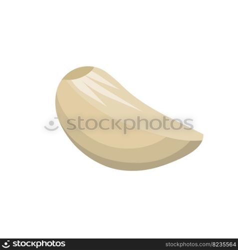 Healthy diet. Seasoning and herb. Vector Cartoon illustration. Element of harvest. Natural product.. Garlic cloves. Spicy vegetable.