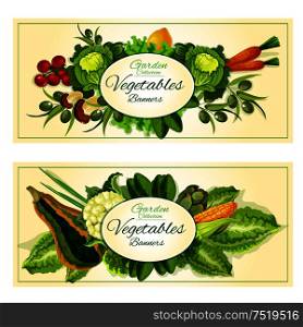 Healthy farm vegetables and fruits banners with tomato, green onion, carrot, mushroom, olive, lemon, lettuce, cabbage, corn, zucchini cauliflower artichoke and green salads. Vegetables, fruits and salad greens banners set