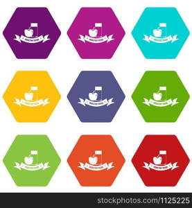 Healthy food icons 9 set coloful isolated on white for web. Healthy food icons set 9 vector