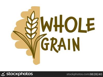 Healthy ingredients for balanced meal menu, isolated whole grain products. Nutritious flour with microelements. Agriculture and tasty pastry. Label or emblem logotype design, vector in flat style. Whole grain, flour products, label for pastry