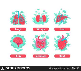 Healthy internal anatomical system flat concept vector illustrations set. Digestive tract. Brain and heart, kidney and liver. Remedy for physical wellness metaphors. Human organ 2D cartoon objects. Healthy internal anatomical system flat concept vector illustrations set