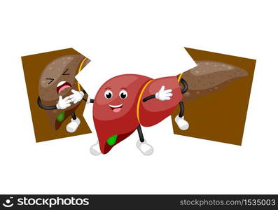 Healthy liver character holding tear of unhealthy. Health care concept, before and after. Illustration isolated on white background.