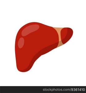 Healthy liver. Red internal human organ. Medicine and analysis. Cartoon flat illustration. Healthy liver. Red internal human organ