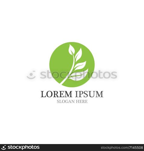 Healthy logo natural leaf vector