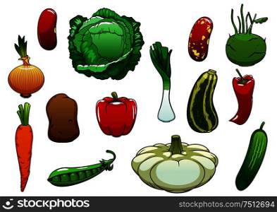Healthy organic cabbage carrot pepper potato onion cucumber zucchini pea pattypan squash leek kohlrabi common bean vegetables. For agriculture or vegetarian food themes design. Healthy organic fresh vegetables on white