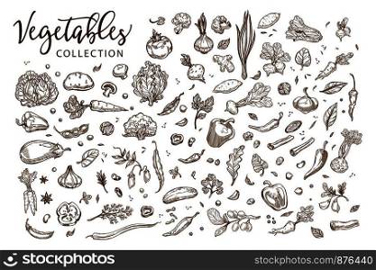 Healthy organic vegetables collection of monochrome sepia sketches. Delicious natural food grown at farm. Tasty fresh nutritious products full of vitamins isolated cartoon flat vector illustrations.. Healthy organic vegetables collection of monochrome sepia sketches