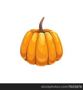 Healthy squash isolated vegetarian pumpkin with stem. Vector organic food, realistic gourd. Gourd pumpkin symbol of Halloween and Thanksgiving