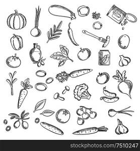 Healthy vegetables flat icons with fresh tomatos, carrot, cucumber, potato, pepper, onion, mushroom, pumpkin, olive oil with fruit, garlic pickle sweet corn eggplant and beet. Natural ripe vegetables and herbs sketch icons