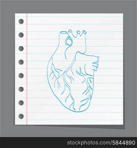 heart anatomy on paper