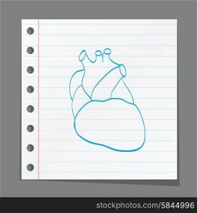 heart anatomy on paper