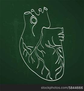 heart anatomy on the chalkboard chalk painted