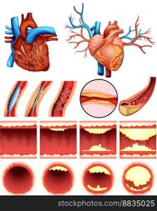 Heart cholesterol vector image