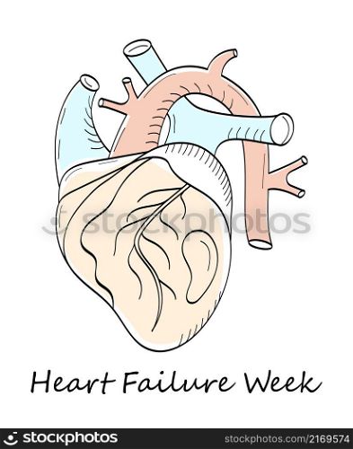 Heart Failure Week in February. Meedical event illustration vector