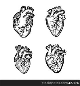 Heart human icon set. Hand drawn set of heart human vector icons for web design. Heart human icon set, hand drawn style