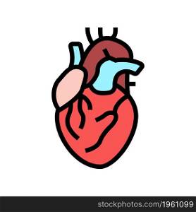 heart human organ color icon vector. heart human organ sign. isolated symbol illustration. heart human organ color icon vector illustration