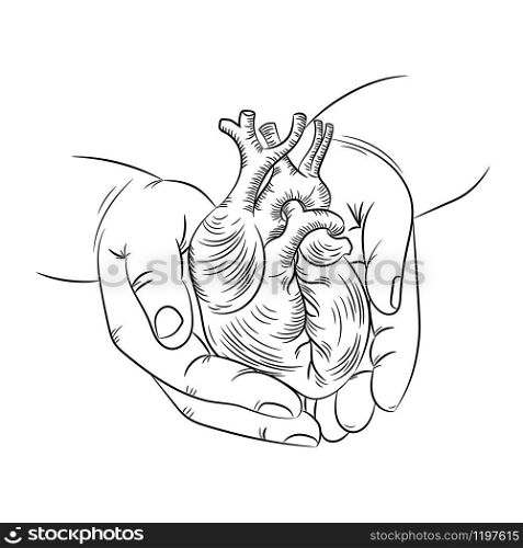 HEART IN HANDS Health Symbol Medicine Human Hand Draw Vector