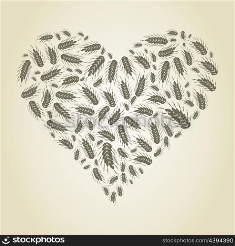 Heart made of wheat ear. A vector illustration