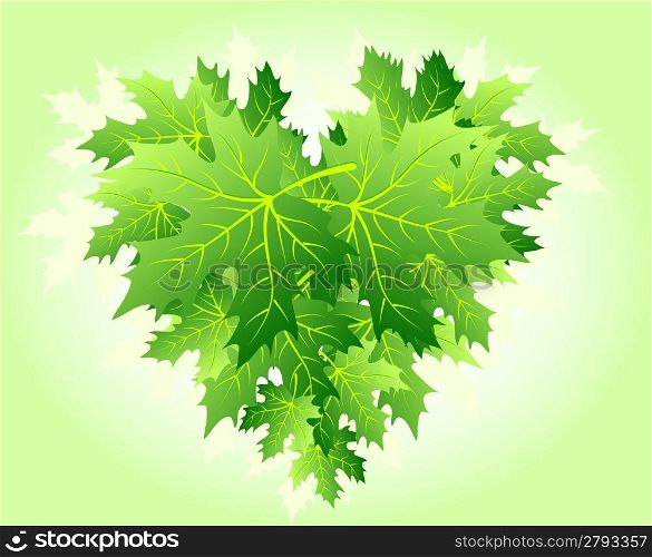 Heart shape made from green maple leaves
