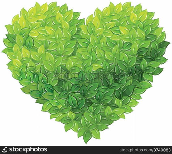 Heart symbol in green leaves. Vector.