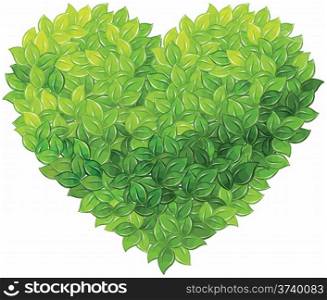 Heart symbol in green leaves. Vector.