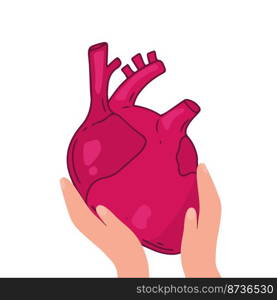 Heart vector design. Realistic anatomy pictures. Human body internal organs. Heart vector design. Realistic anatomy pictures. Human body internal organs,