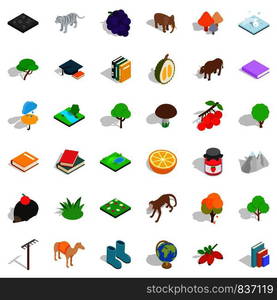 Hedgehog icons set. Isometric style of 36 hedgehog vector icons for web isolated on white background. Hedgehog icons set, isometric style