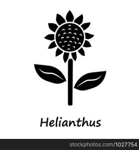 Helianthus glyph icon. Sunflower head with name inscription. Field blooming flower. Agriculture symbol. Wild plant. Summer blossom. Silhouette symbol. Negative space. Vector isolated illustration