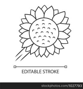 Helianthus linear icon. Sunflower head. Field blooming flower. Agriculture symbol. Wild plant. Summer blossom. Thin line illustration. Contour symbol. Vector isolated outline drawing. Editable stroke