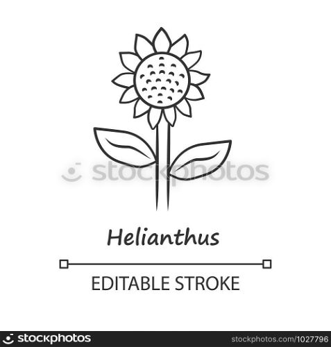 Helianthus linear icon. Sunflower head with inscription. Field blooming flower. Agriculture contour symbol. Summer blossom. Thin line illustration. Vector isolated outline drawing. Editable stroke