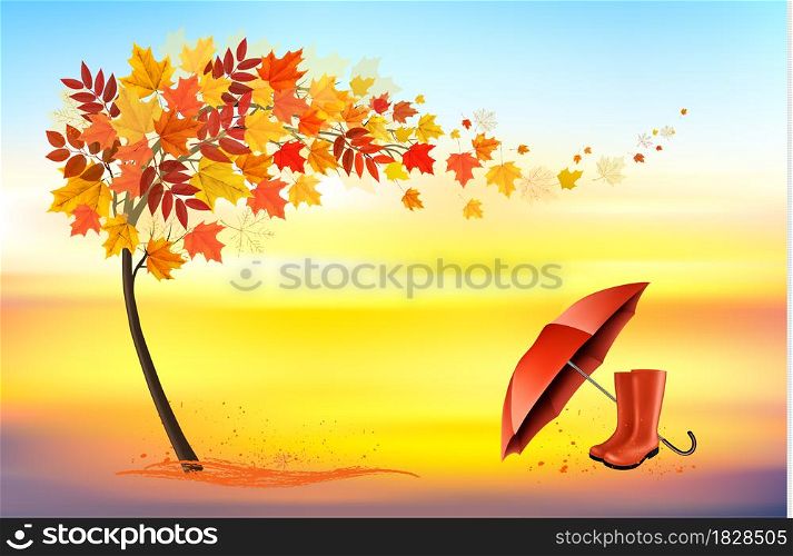 Hello a gold autumn. Autumn landscape with colorful leaves on the tree and umbrella with rain boots in a park on a background. Vector