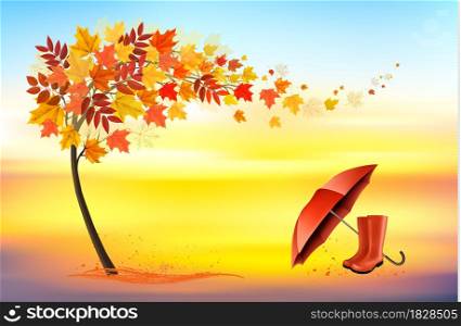 Hello a gold autumn. Autumn landscape with colorful leaves on the tree and umbrella with rain boots in a park on a background. Vector