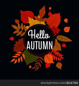 Hello autumn background with fall leaves. Nature autumnal vector concept. Orange and yellow leaf seasonal illustration. Hello autumn background with fall leaves. Nature autumnal vector concept