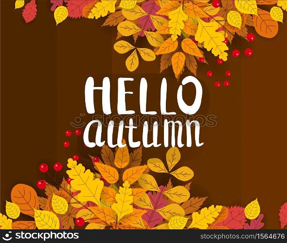Hello Autumn, background with falling leaves, yellow, orange, brown fall lettering. Hello Autumn, background with falling leaves, yellow, orange, brown, fall, lettering, template for poster, banner, vector, isolated