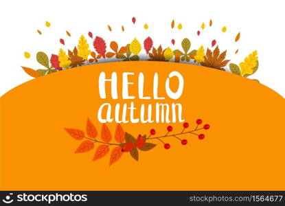 Hello Autumn, background with falling leaves, yellow, orange, brown fall lettering. Hello Autumn, background with falling leaves, yellow, orange, brown, fall, lettering, template for poster, banner, vector, isolated