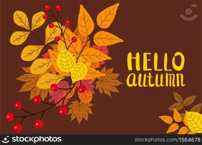 Hello Autumn, background with falling leaves, yellow, orange, brown fall lettering. Hello Autumn, background with falling leaves, yellow, orange, brown, fall, lettering, template for poster, banner, vector, isolated