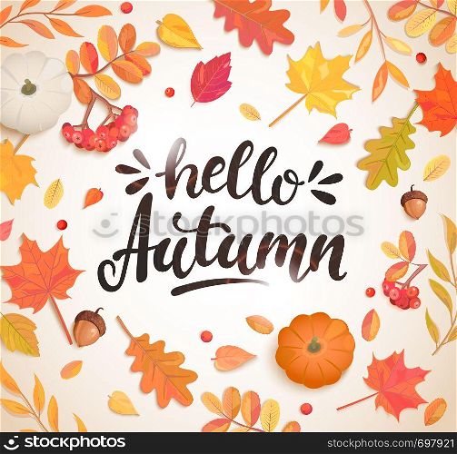Hello Autumn banner in frame of colorful autumn leaves, rowan berries,acorns, pumpkin for fall season flyers,presentations, reports promotion,web and leaflet, card, poster.Top view. Vector.. Hello Autumn banner in frame of autumn leaves.