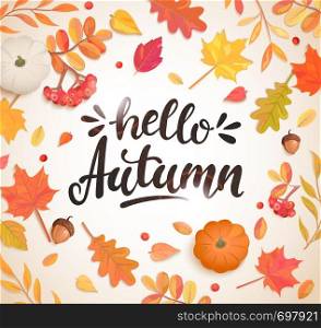 Hello Autumn banner in frame of colorful autumn leaves, rowan berries,acorns, pumpkin for fall season flyers,presentations, reports promotion,web and leaflet, card, poster.Top view. Vector.. Hello Autumn banner in frame of autumn leaves.