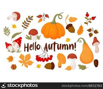 Hello, Autumn. Collection leaves, forest mushrooms, berries, cone, acorns, chestnut and mountain ash. Vector illustration. Isolated colored drawing in cartoon style for autumn design, decor
