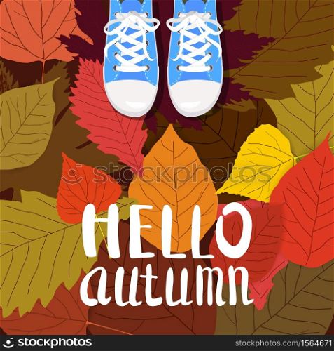 Hello autumn color illustration. Person feet standing in sneakers on yellow, red, green fallen leaves. Hand drawn lettering.. Hello autumn color illustration. Person feet standing in sneakers on yellow, red, green fallen leaves. Hand drawn lettering. Early fall postcard. Walk in park. Autumn time vector cartoon banner