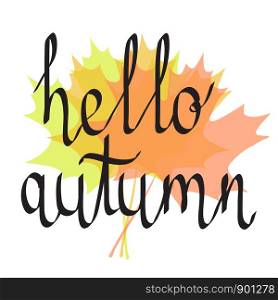 hello autumn hand drawing lettering words on color autumn maple leaves, stock vector illustration