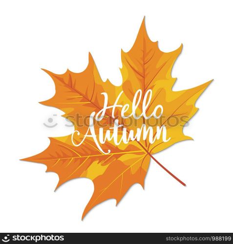 Hello Autumn hand lettering phrase on orange autumn maple leaf background