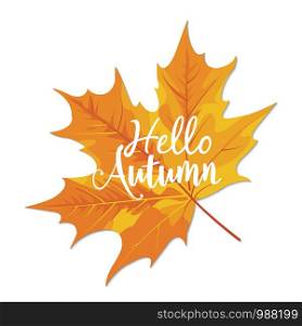 Hello Autumn hand lettering phrase on orange autumn maple leaf background