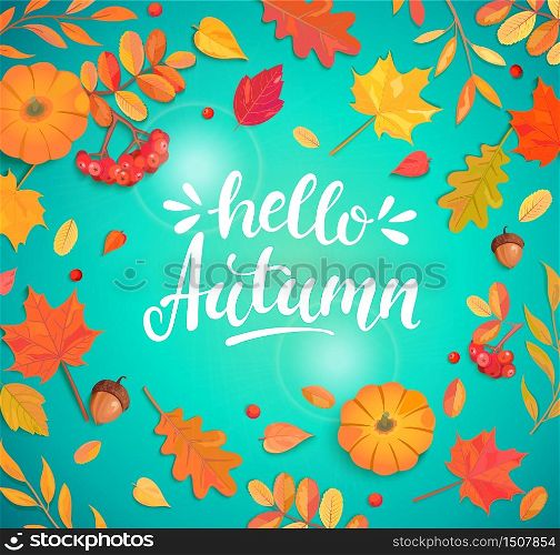 Hello autumn lettering surrounded by autumn leaves. Greeting fall with colorful leaf,rowan berries,acorns,pumpkin for seasonal promotion,web,flyers.Template for cards,advertise.Vector illustration.. Hello autumn lettering surrounded by autumn leaves