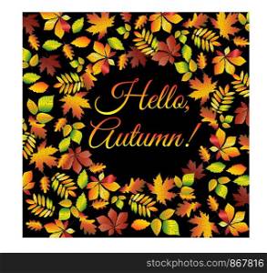 Hello, autumn. Multicolored text framed from autumn leaves of maple, oak, chestnut, etc. Postcard, background.. Hello, autumn.. Multicolored text framed from autumn leaves of maple, oak, chestnut, etc. Postcard, background.