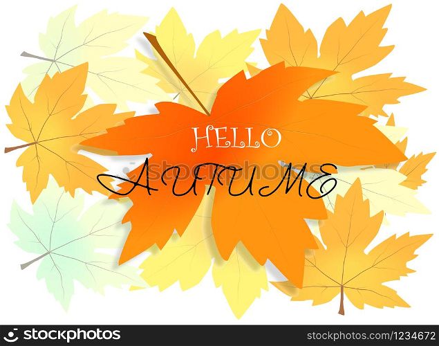 Hello autumn on orange maple leaf background. Vector Illustration, eps 10