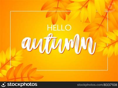 Hello autumn poster design with yellow background. Handwritten text in frame with yellow orange ash leaves. Vector illustration can be used for banners, brochures, greeting cards