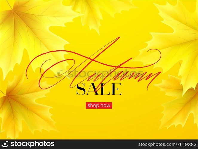 Hello Autumn sale background with realistic yellow autumn leaves. Vector illustration EPS10. Hello Autumn sale background with realistic yellow autumn leaves. Vector illustration